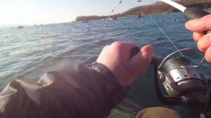 МОРСКАЯ РЫБАЛКА на МИНТАЯ. РЫБАЛКА с ЛОДКИ на ДОНКУ #жекарыболов #морскаярыбалка #ловляминтая