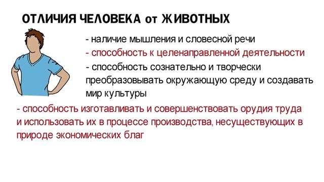 Чем человек отличается от животного ? Краткая теория для ЕГЭ и ОГЭ по обществознанию 1 смотреть онлайн