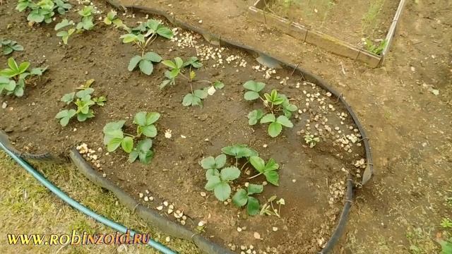 Как Сделать Просто