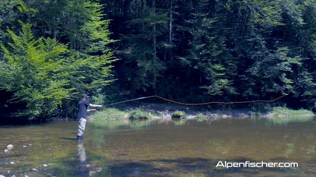 Mit Der Fliege Backhand Werfen