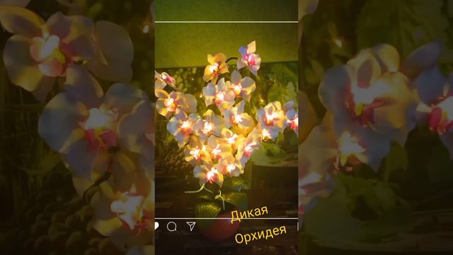 Дикакая орхидея || Светильники из фоамирана #handmadе смотреть онлайн