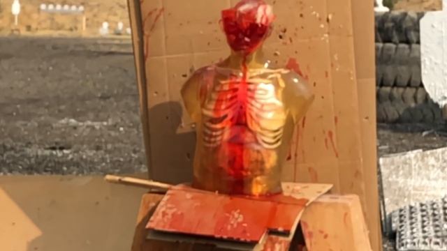 Sudden Impact ? Ballistic Dummy Test смотреть онлайн
