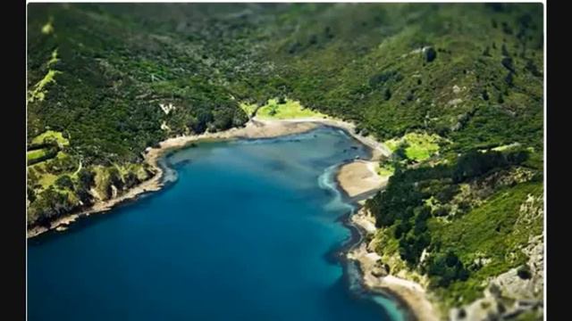 Шейх Захир Махмуд Кем был Нуруддин Занки смотреть онлайн