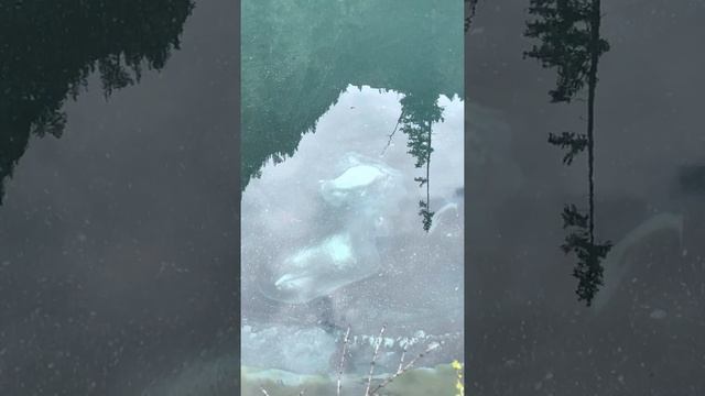 Гейзерное озеро Акташ смотреть онлайн