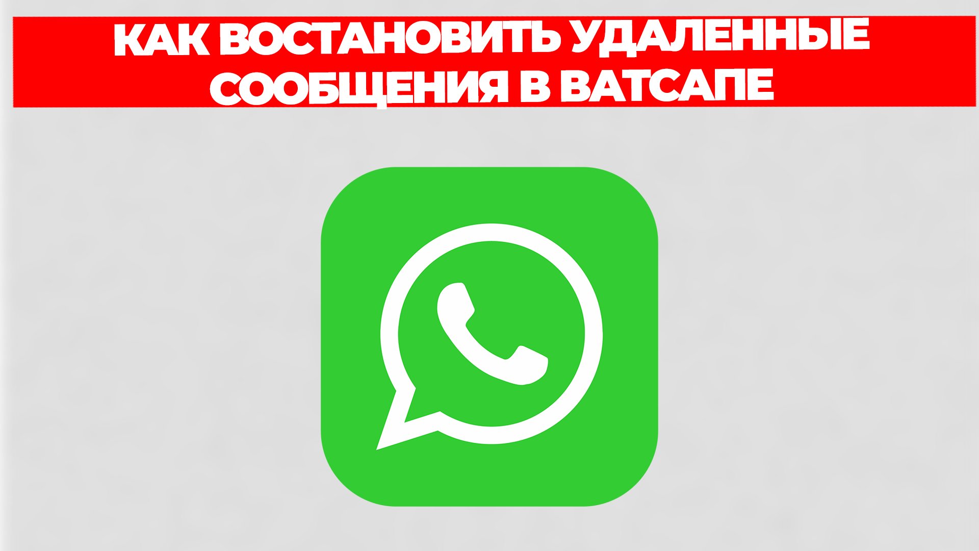 Всезнающий Енот