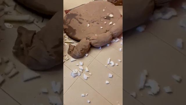 Американский булли! смотреть онлайн