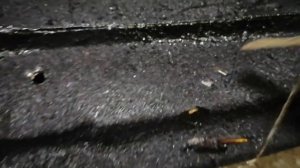 Пушечное сало и кордон,вечный антикор.