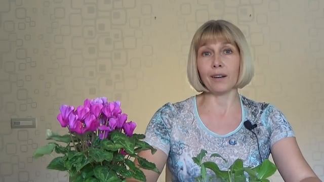 10 НЕЛЬЗЯ для рассады КАПУСТЫ смотреть онлайн