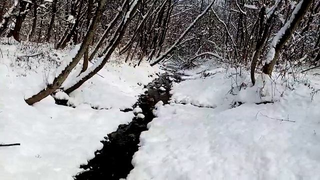 Псебай, родник, февраль смотреть онлайн