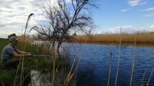 Поплапопер. Ловля карася