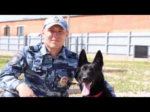 Кинолог