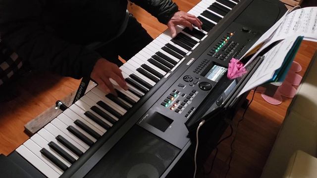 Piano cover Mariage D'amour with DGX-670 - petessf 太夢幻了！ смотреть онлайн