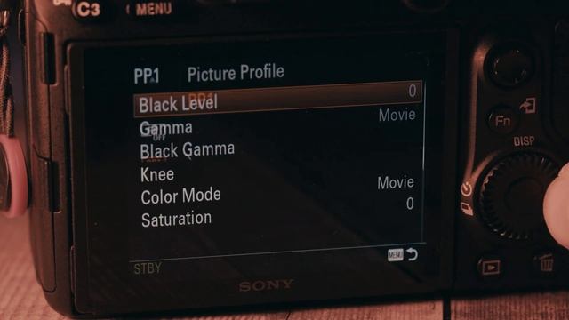 Panasonic HC-X1500 - Cinematic Footage, bokeh and good low light performance? Yeah right! смотреть онлайн