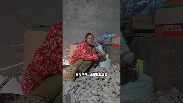 After the year is over, Doudou and children are going to start school again смотреть онлайн