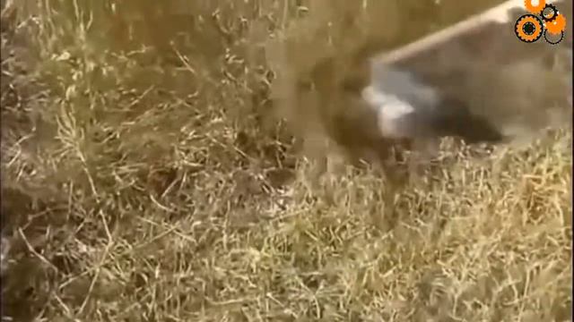 УДИВИТЕЛЬНЫЕ ИЗОБРЕТЕНИЯ СВОИМИ РУКАМИ смотреть онлайн