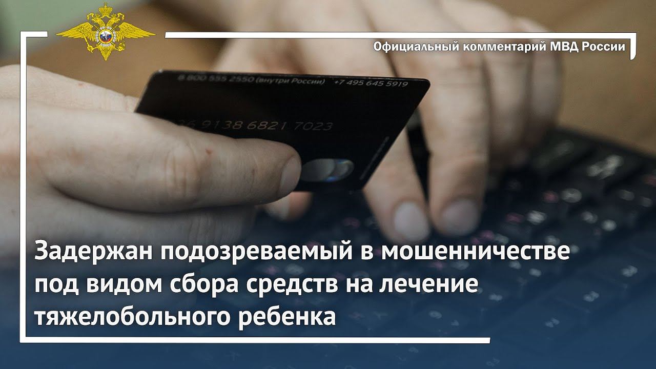 Ирина Волк: В Красноярском крае задержан подозреваемый в мошенничестве под видом сборов средств смотреть онлайн