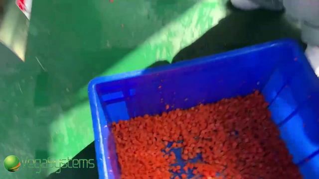 Промышленная овощерезка для нарезки кубиком овощей, фруктов и других продуктов Vega Dicer 1500 смотреть онлайн