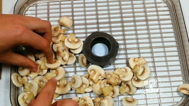 Заготовки из шампиньонов: ГРИБНОЙ ПОРОШОК и СУШЕНЫЕ ГРИБЫ смотреть онлайн