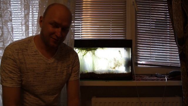 Аквариум на подоконнике(тест) смотреть онлайн