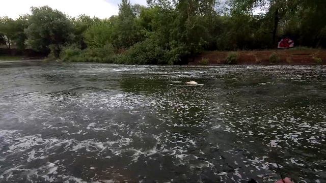 Рыбалка одного язя. ХИММАШ. смотреть онлайн