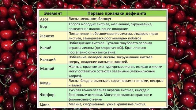 Правильная подкормка Черешни | Удобрение | Полезные микроэлементы дереву на протяжение всего года