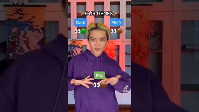 Yolo House TikTOK