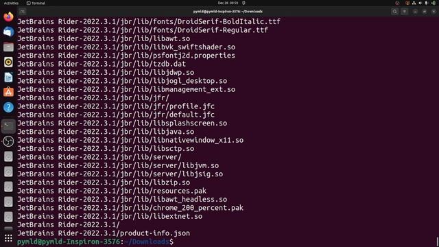 How to Install JetBrains Rider on Ubuntu in 2022 - A Step-by-Step Guide смотреть онлайн