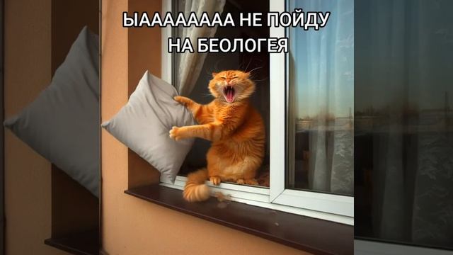 беологея фу смотреть онлайн