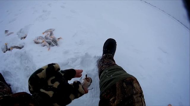 Ловлю крупного окуня оз.Айдабул с.Викторовка\Зимняя #рыбалка 2020 #Казахстан #Кокшетау смотреть онлайн