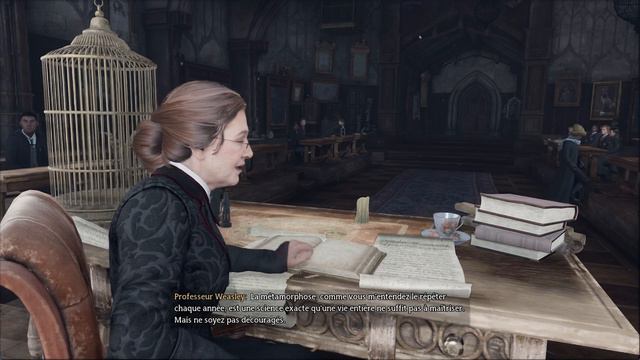 PLEIN DE GOBELINS! (Hogwarts Legacy) Let's Play FR #26 смотреть онлайн