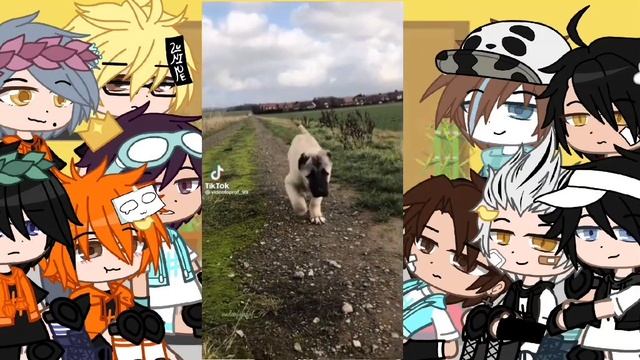 // Haikyuu! react to M!Y/N pets //??* part 2 * смотреть онлайн