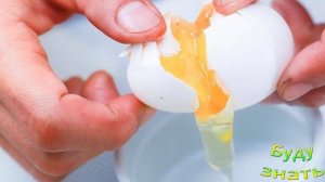 Правда о сырых яйцах: действительно ли они полезны?