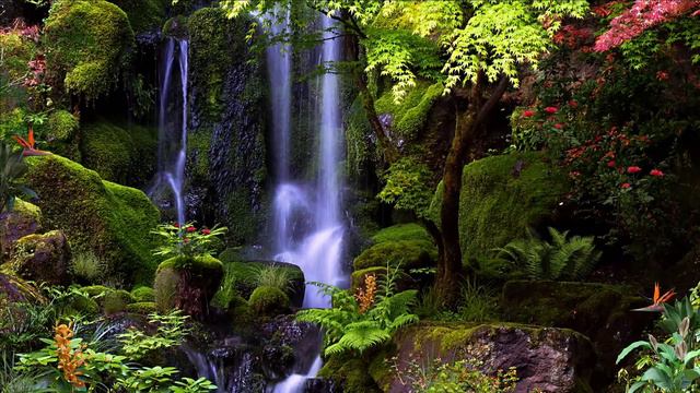 PSALM 96 | Scripture & Song | Soothing Relaxing Music | Prayer & Meditation | Don Salmon Music смотреть онлайн