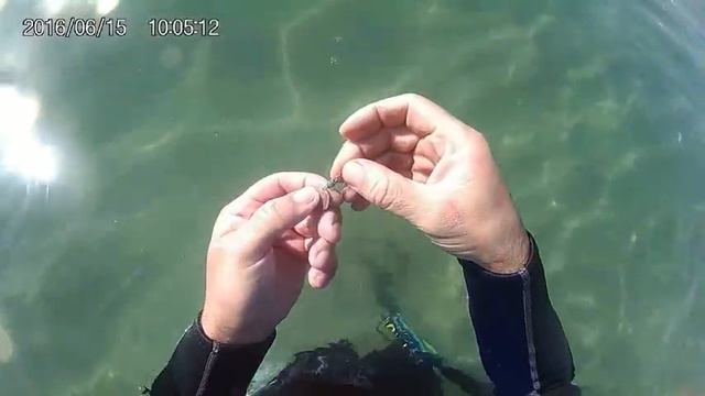 Ну и находки от арабской записки до электробритвы смотреть онлайн