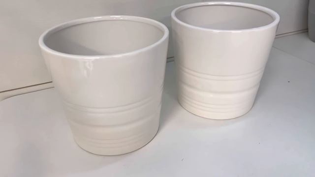 Завидую себе❗️под НОВЫЙ ГОД за ОРХИДЕЯМИ❗️ кто как не Я??