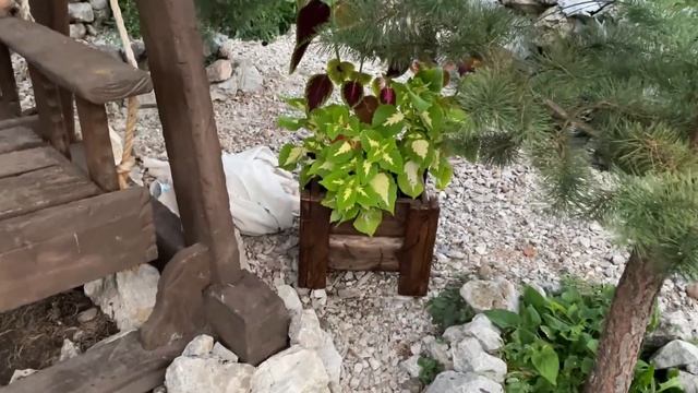 ОБЗОР ЦВЕТУЩЕГО УЧАСТКА В АВГУСТЕ! Мебель своими руками смотреть онлайн