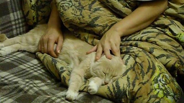 Уши смотреть онлайн