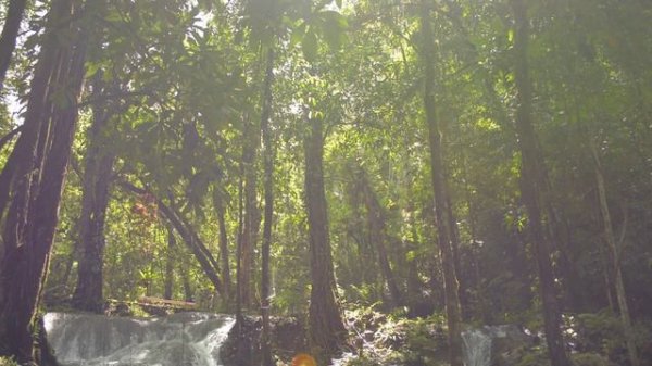 affection core nostalgic memories