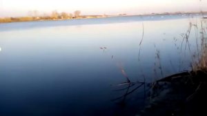 Места для рыбалки Краснодарский край ст Ивановская