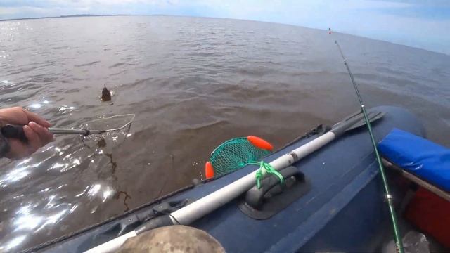 Белое море ,камбала второй выезд смотреть онлайн