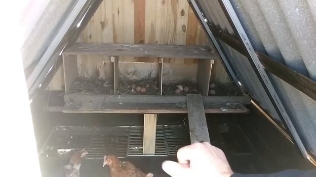 Результат работы готовый курятник своими руками смотреть онлайн