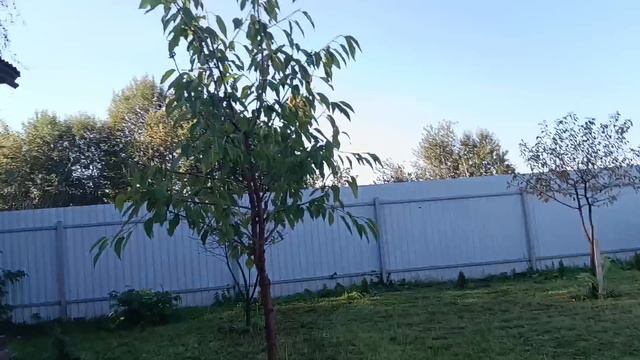 Приехал в гости в блогеру Mavils! смотреть онлайн
