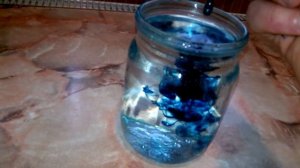 ЙОДИНОЛ для ПТИЦЫ/  ЙОДИНОЛ и Ваша ПТИЦА ЗДОРОВА.12 листопада 2019 р.