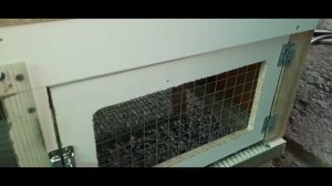 ДВУХЯРУСНЫЙ БРУДЕР ДЛЯ ЦЫПЛЯТ БРОЙЛЕРА. Как самому сделать брудер для бройлера.