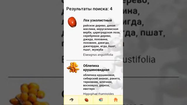 ЭкоГид: Определитель ягод и других дикорастущих сочных плодов России смотреть онлайн