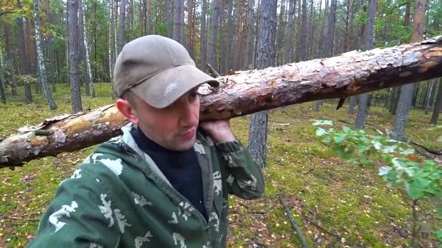 Строю Зимнюю грибницу в лесу, для вешенок и шампиньонов. Сэндвичи с батона. Часть -1 смотреть онлайн