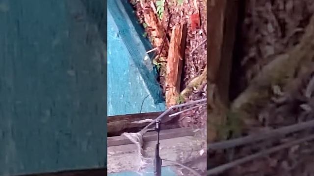 Камертон АК смотреть онлайн