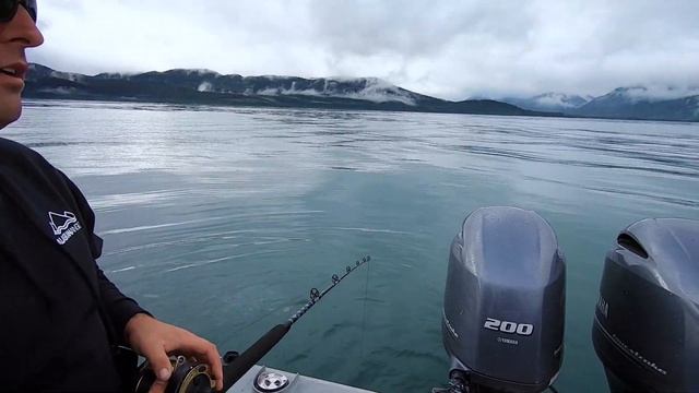 How We Set Up a Halibut Fishing Rig in Alaska смотреть онлайн