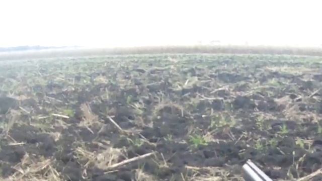 Удачное открытие сезона, сама пришла. Охота на лису 2022 10 15 смотреть онлайн