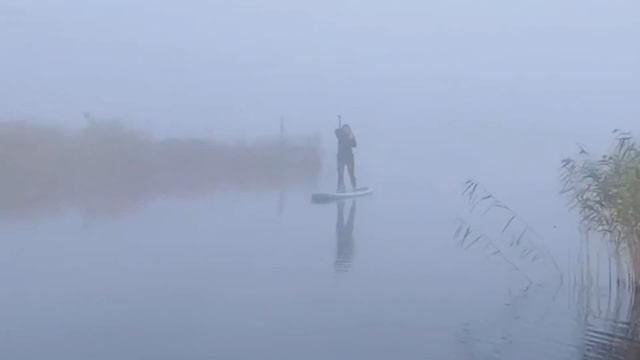Sunrise SUP, Ķemeri National Park, Latvia смотреть онлайн